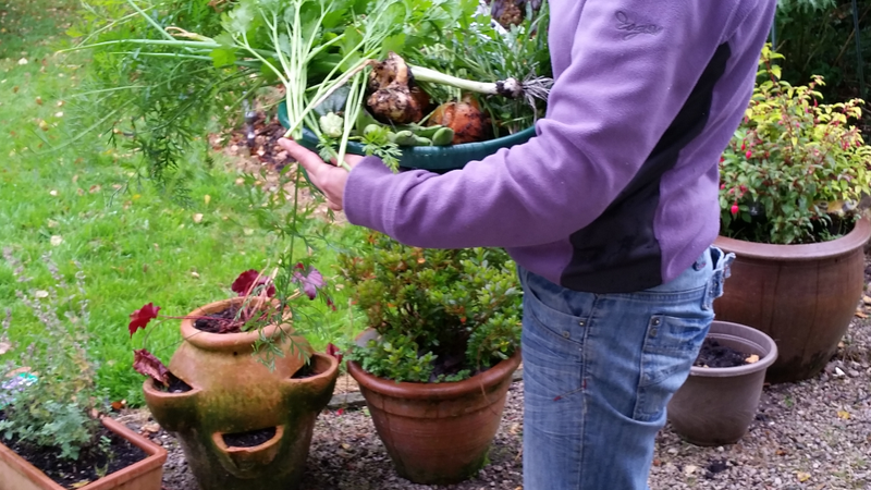 Business owner with Louise