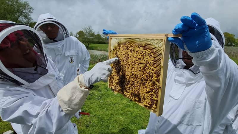 The Hiver Experience.