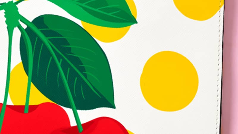 Anna Alexander handbag