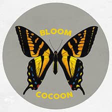 Bloom Cocoon logo