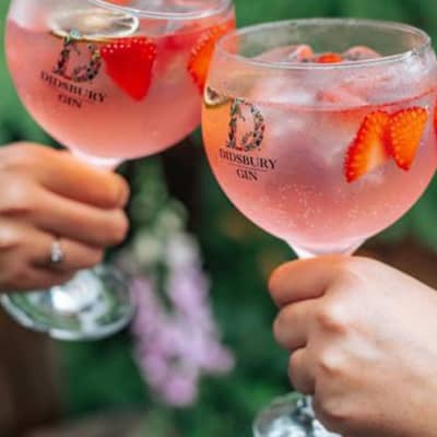 Didsbury Gin glasses in hands