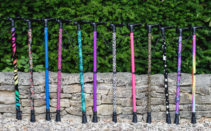 Cool Walking Sticks Collection