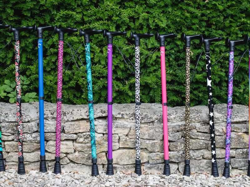 Cool Walking Sticks Collection
