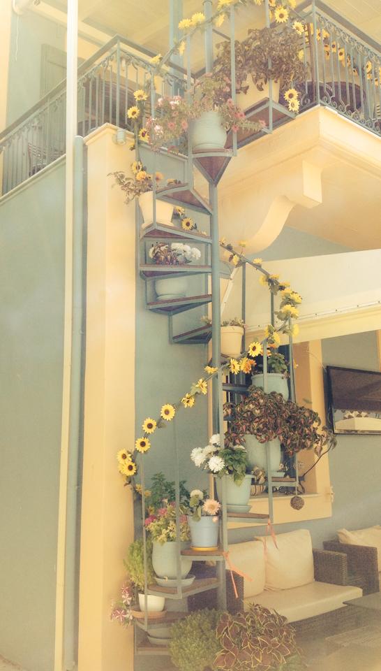 where it started from 