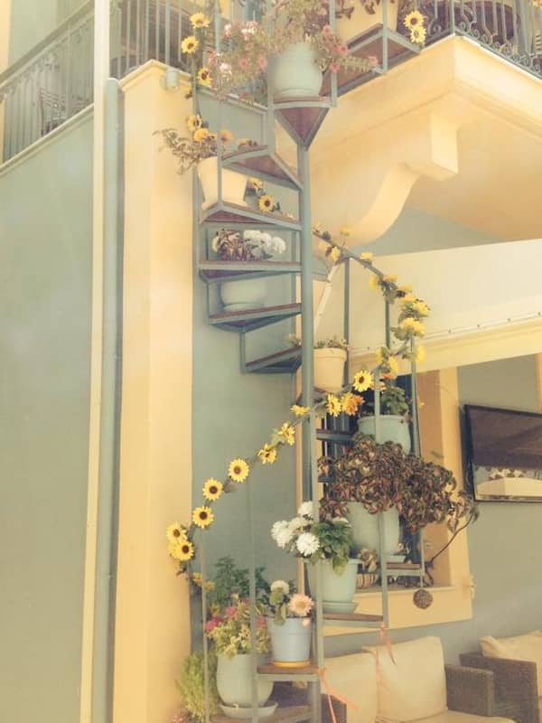 where it started from