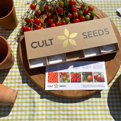 Ready to sow some seeds