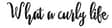 What a Curly Life logo