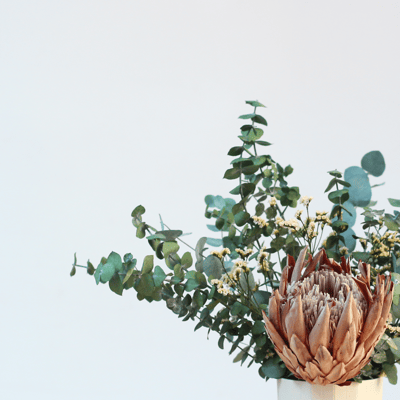 shida_preserved_flowers_eucalyptus_achillea