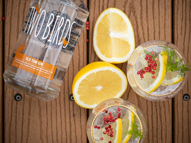 Two Birds Gin & Tonic