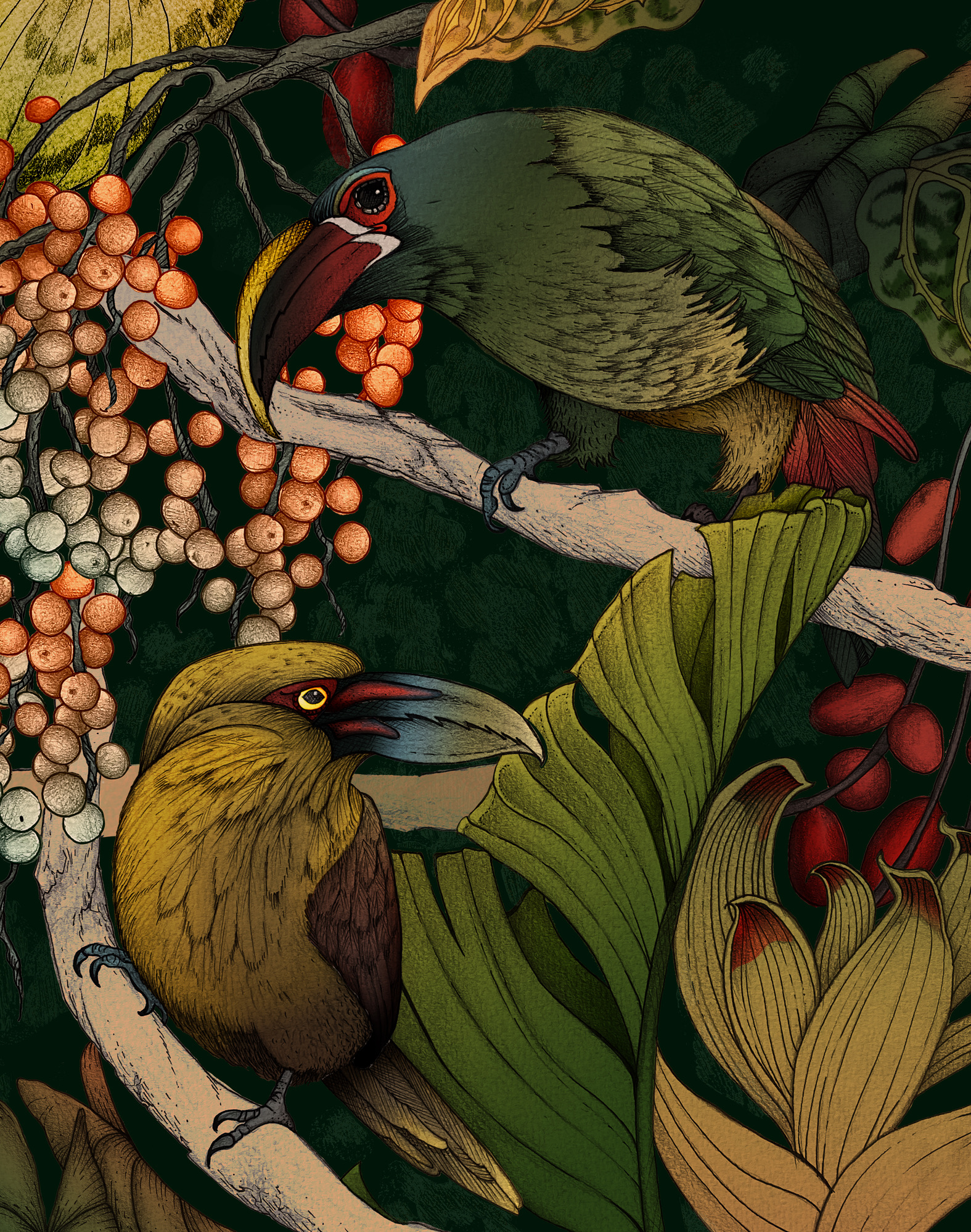 Exotic Canopy by Nuthatch Grey