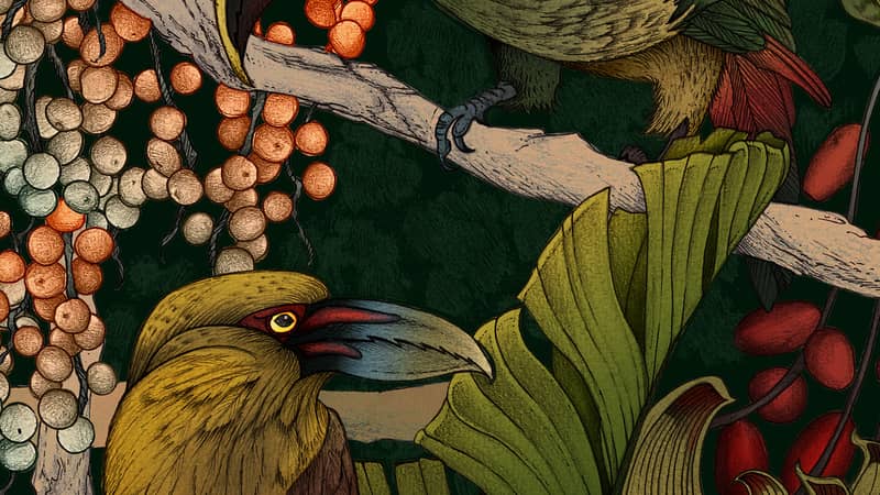 Exotic Canopy by Nuthatch Grey