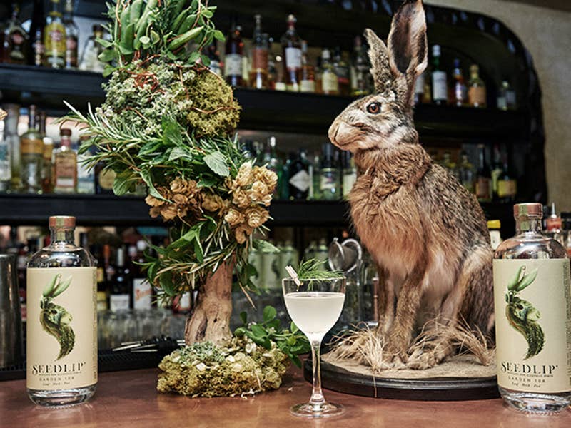 Bar Hare Seedlip