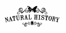 Natural History - The Origin of Style logo