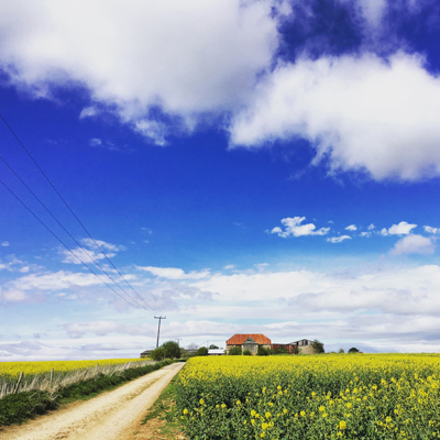 On a walk near the Studio