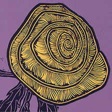 Yellow Rose Design logo