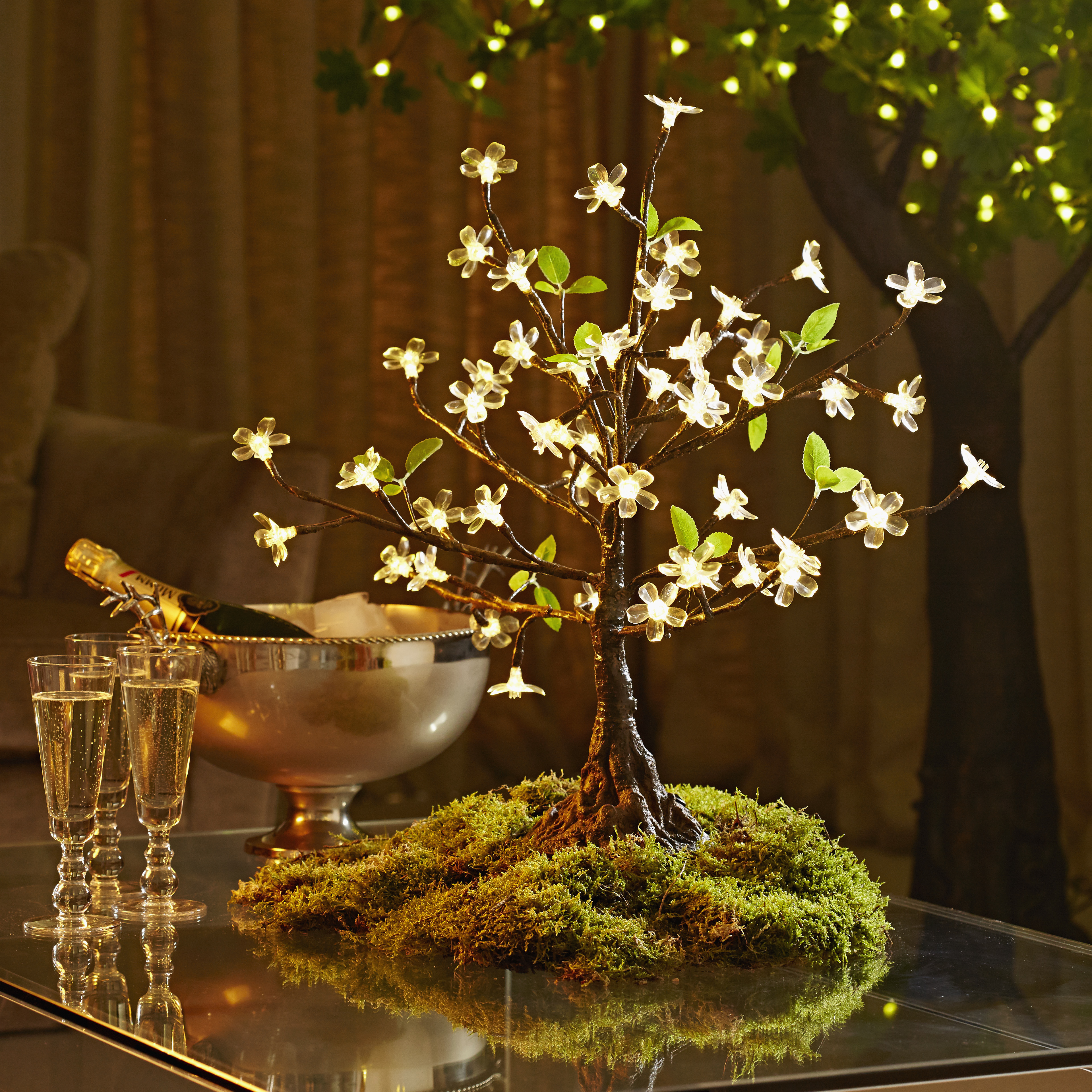 Mini LED Cherry at Christmas