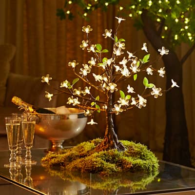 Mini LED Cherry at Christmas