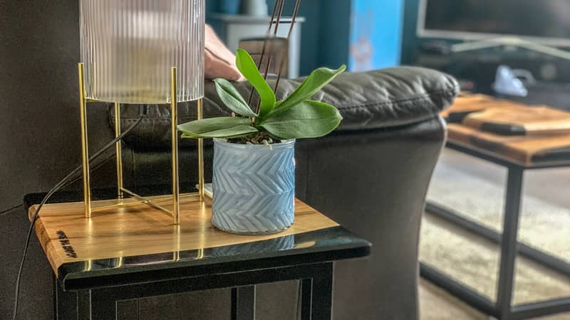 Resin and wood side table