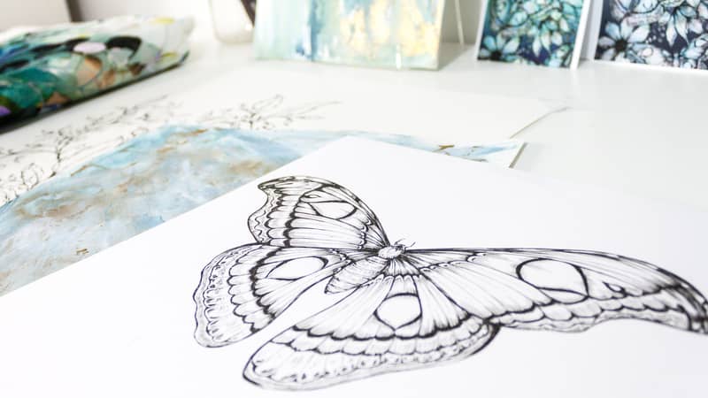 Atlas Moth Illustration