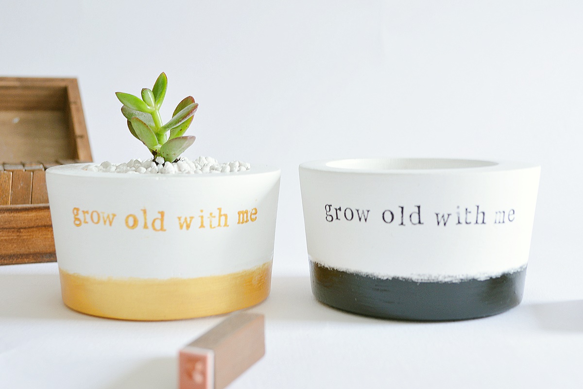 with or without plant