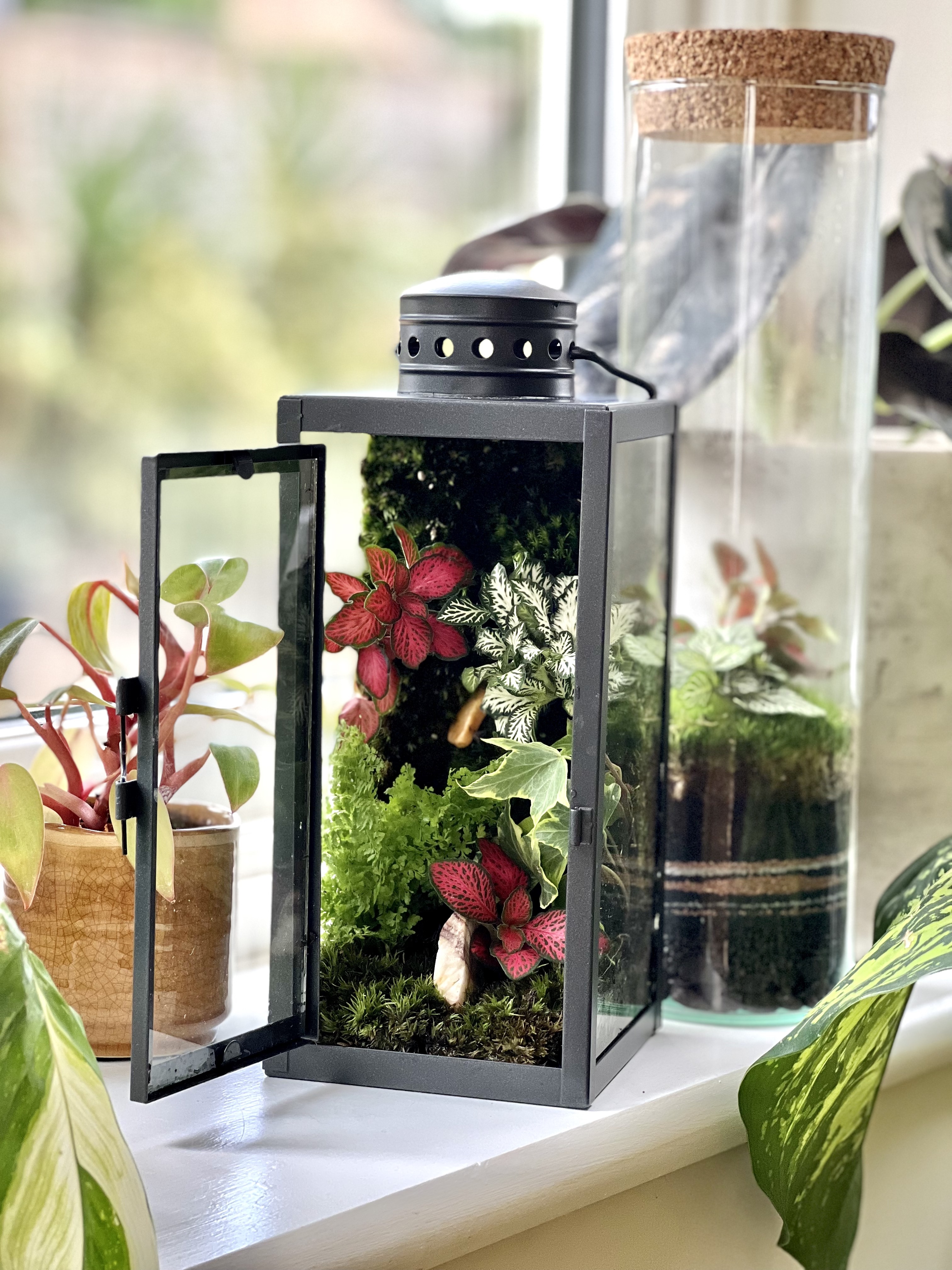 Lantern Terrarium