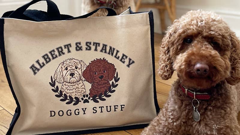 We combine hand drawn illustrations and witty quotes to create gifts that speak to people.