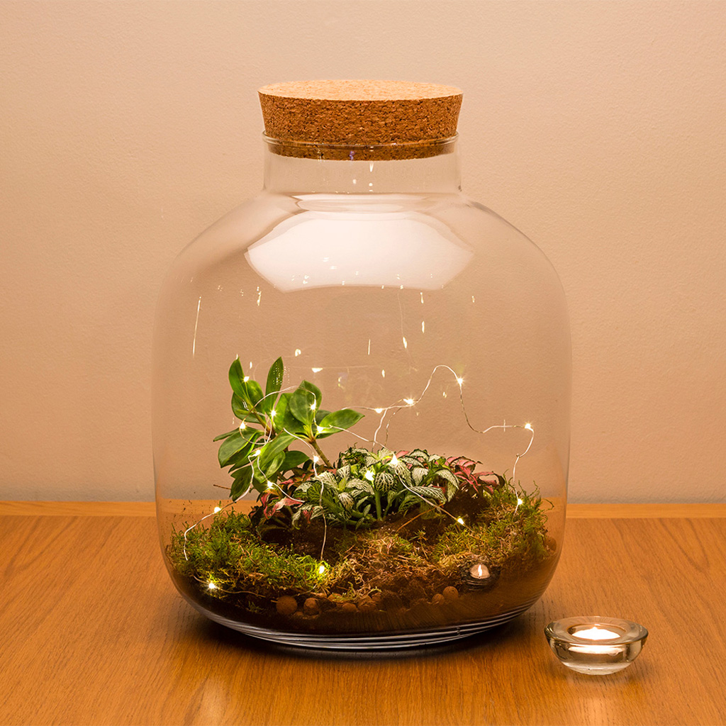 Wonderful Personalised Messages 