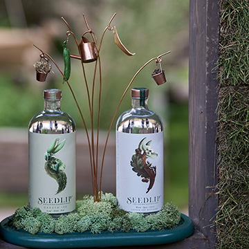 Seedlip Bottles 