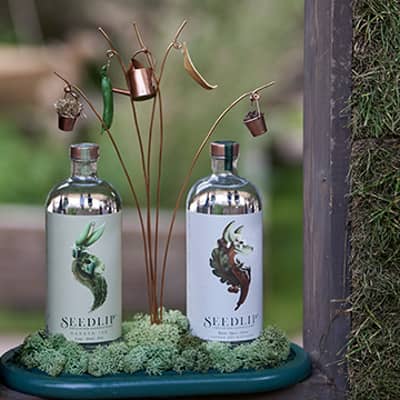 Seedlip Bottles