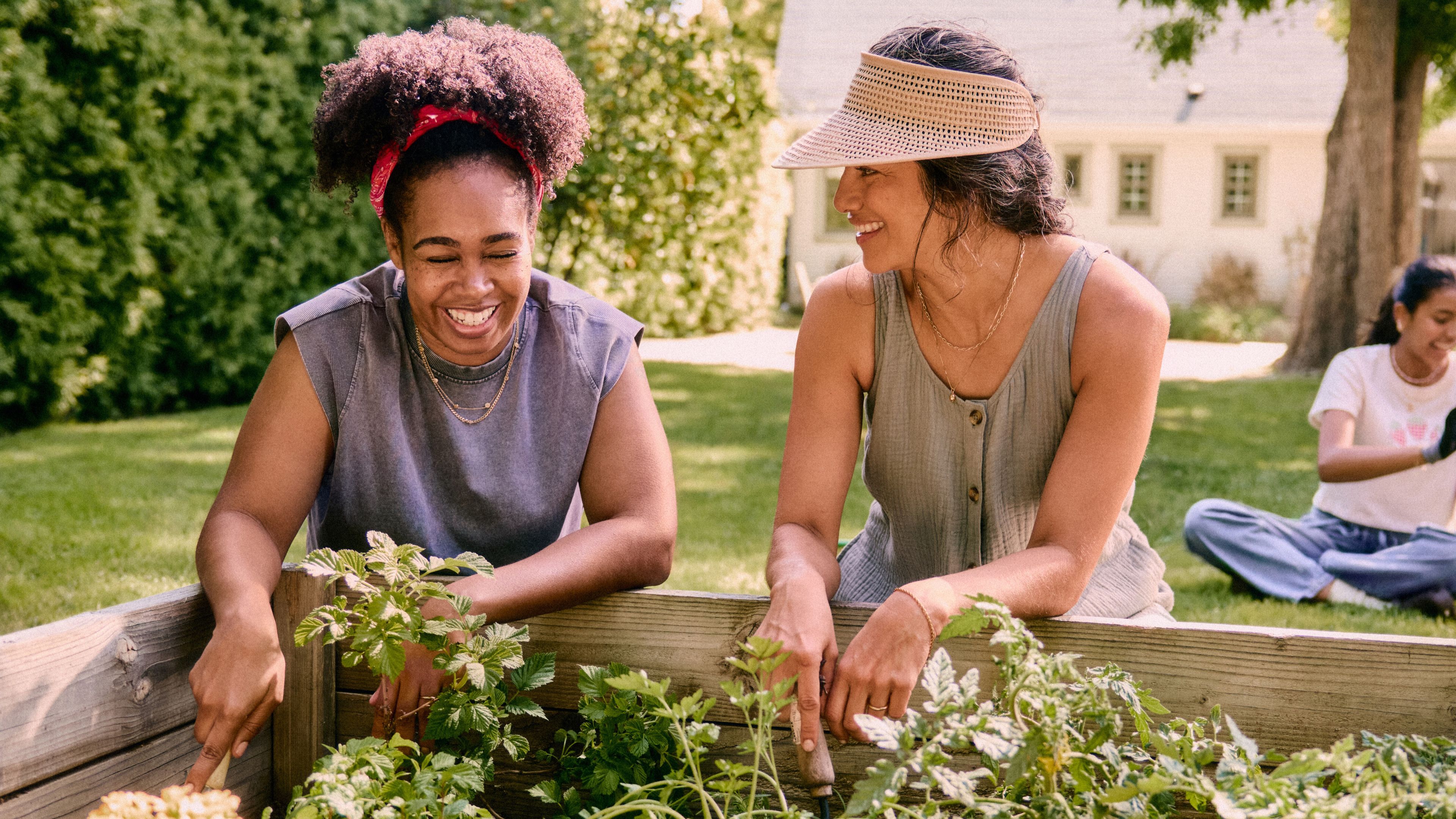 A (Compassionate) Conversation About Processed Food