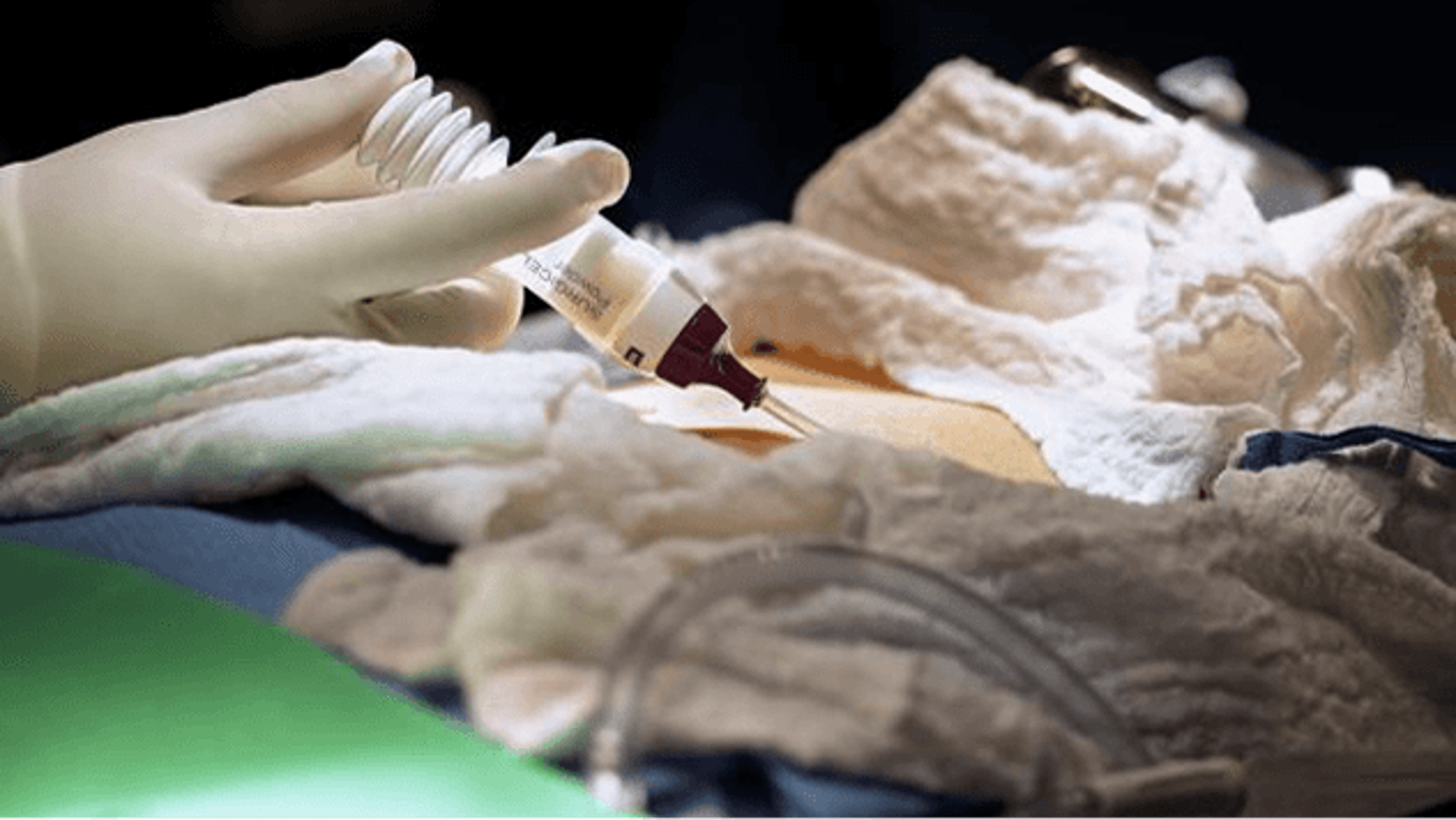 Biosurgery