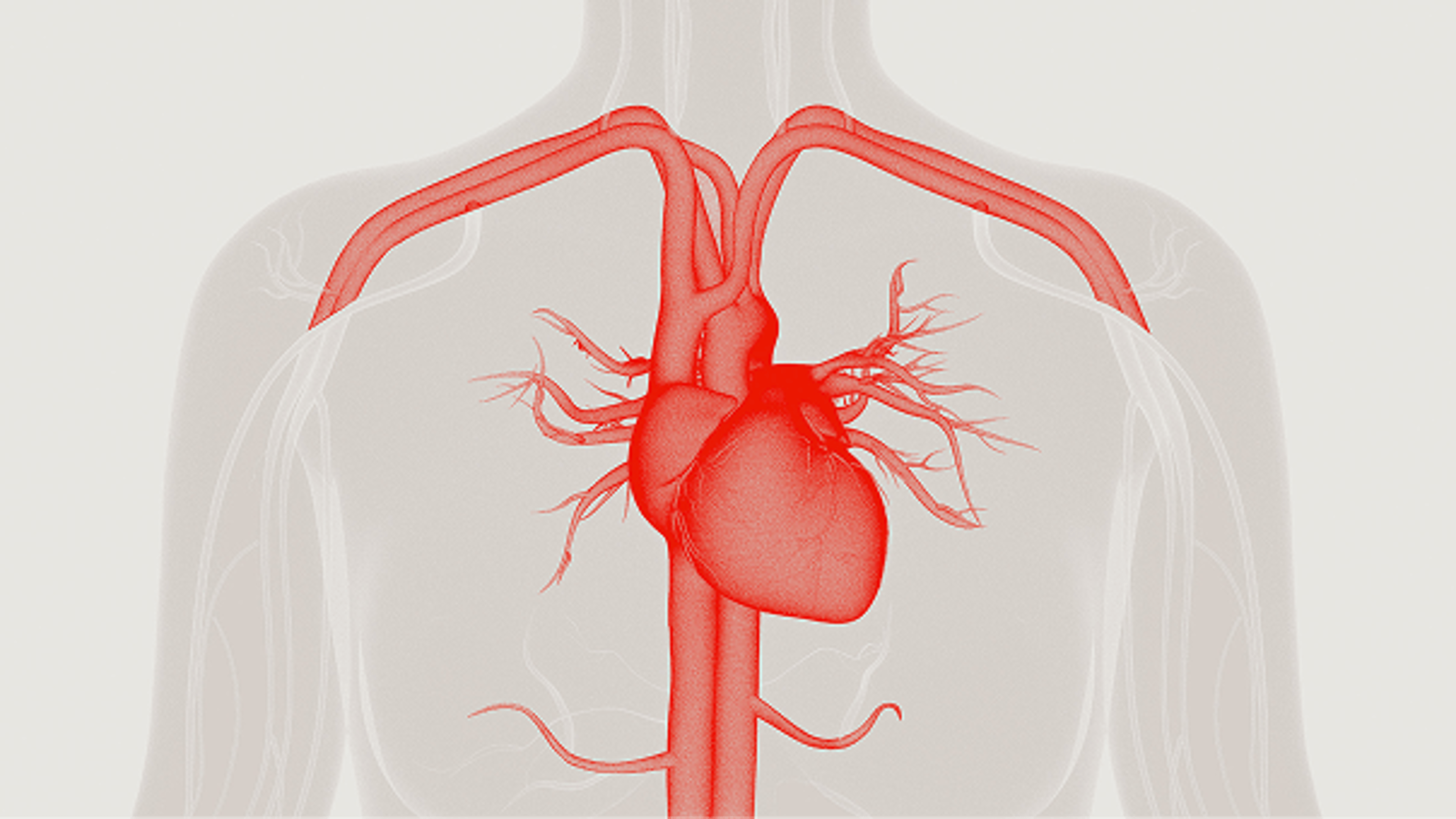 Electrophysiology education grants.