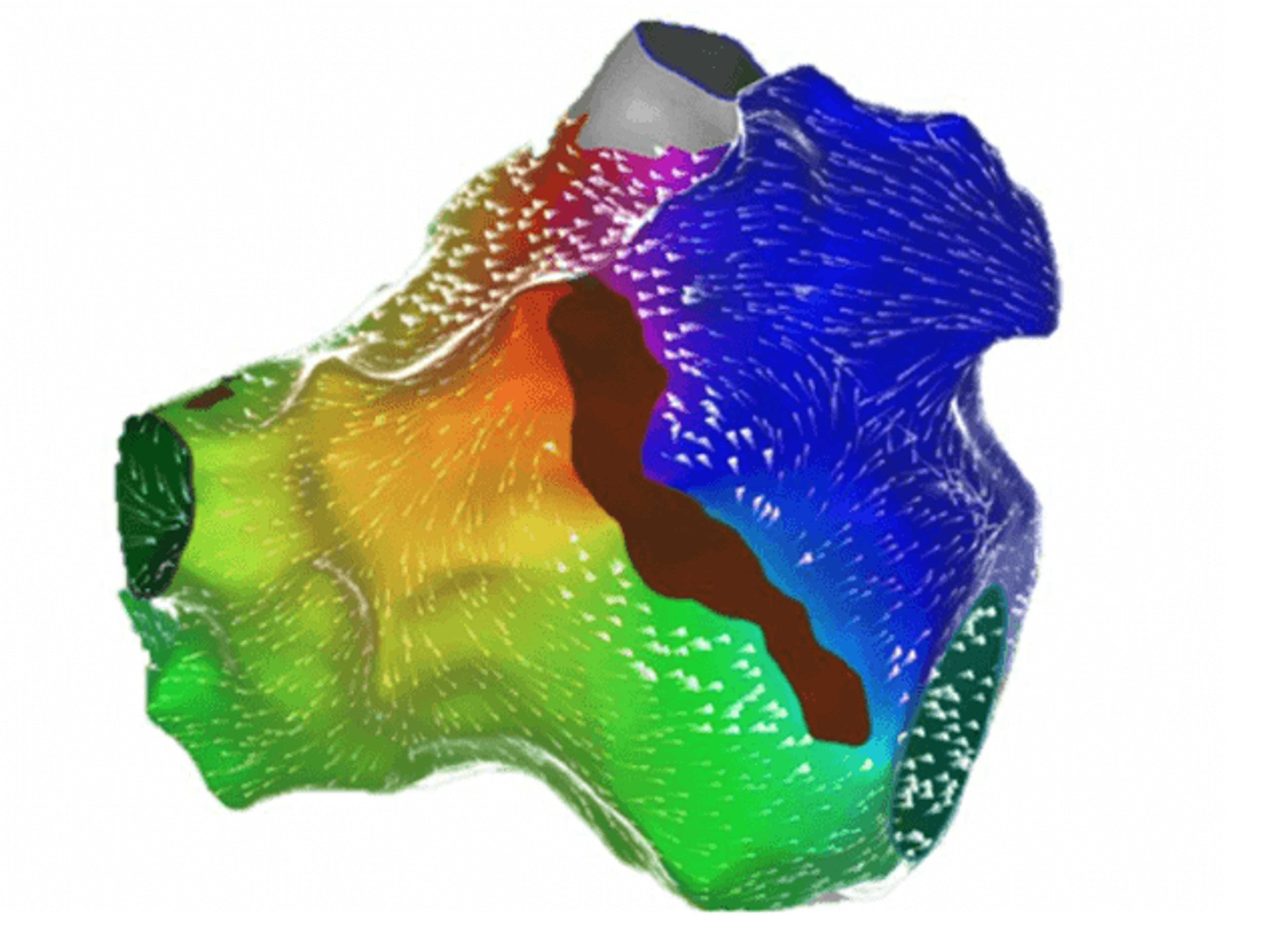 CARTO PRIME™ Module