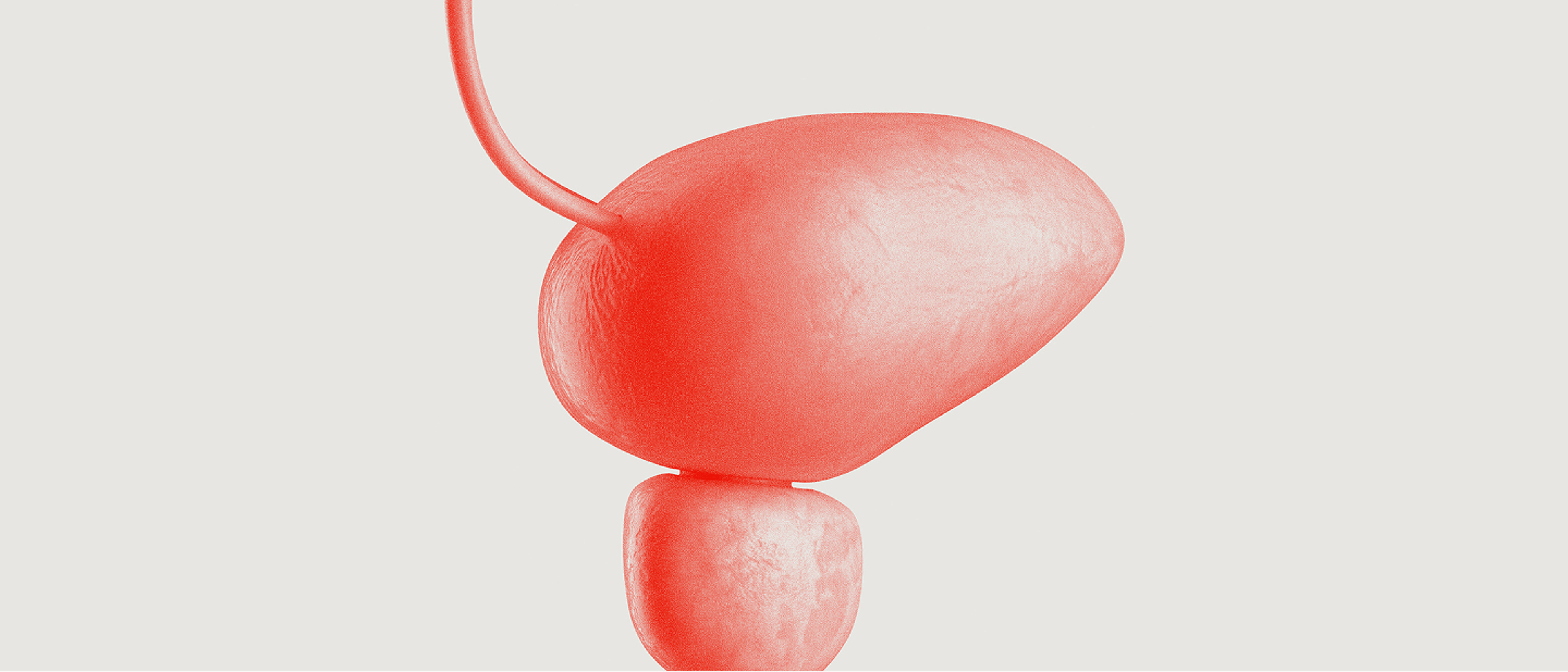 Urology