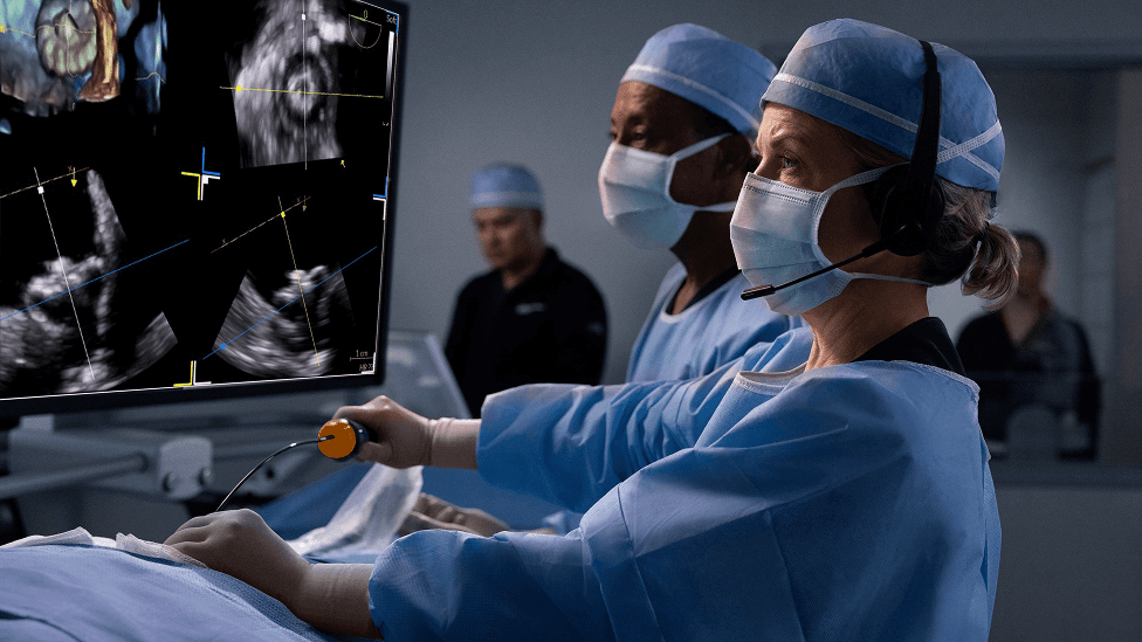ICE in Structural Heart