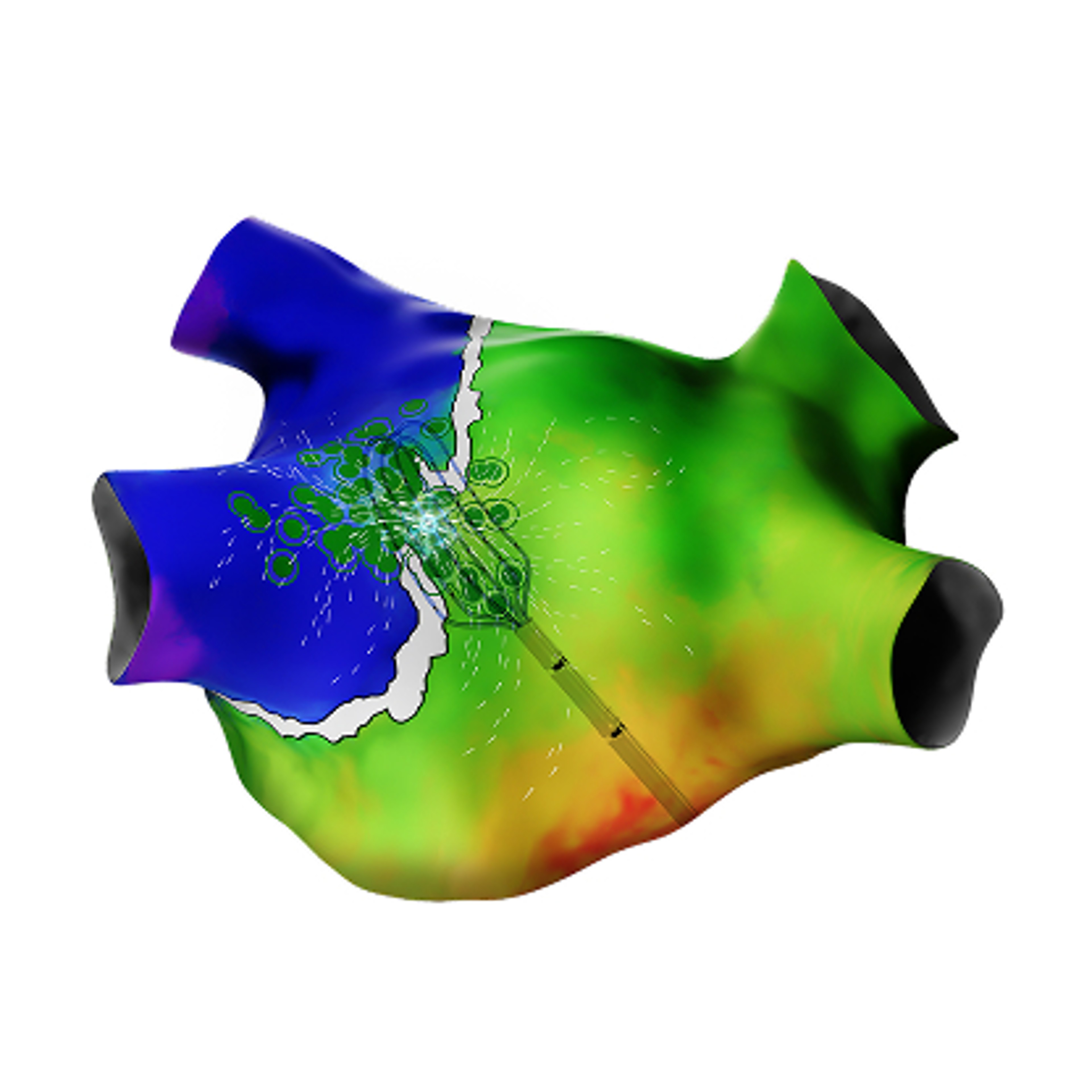 CARTO ELEVATE™ Module