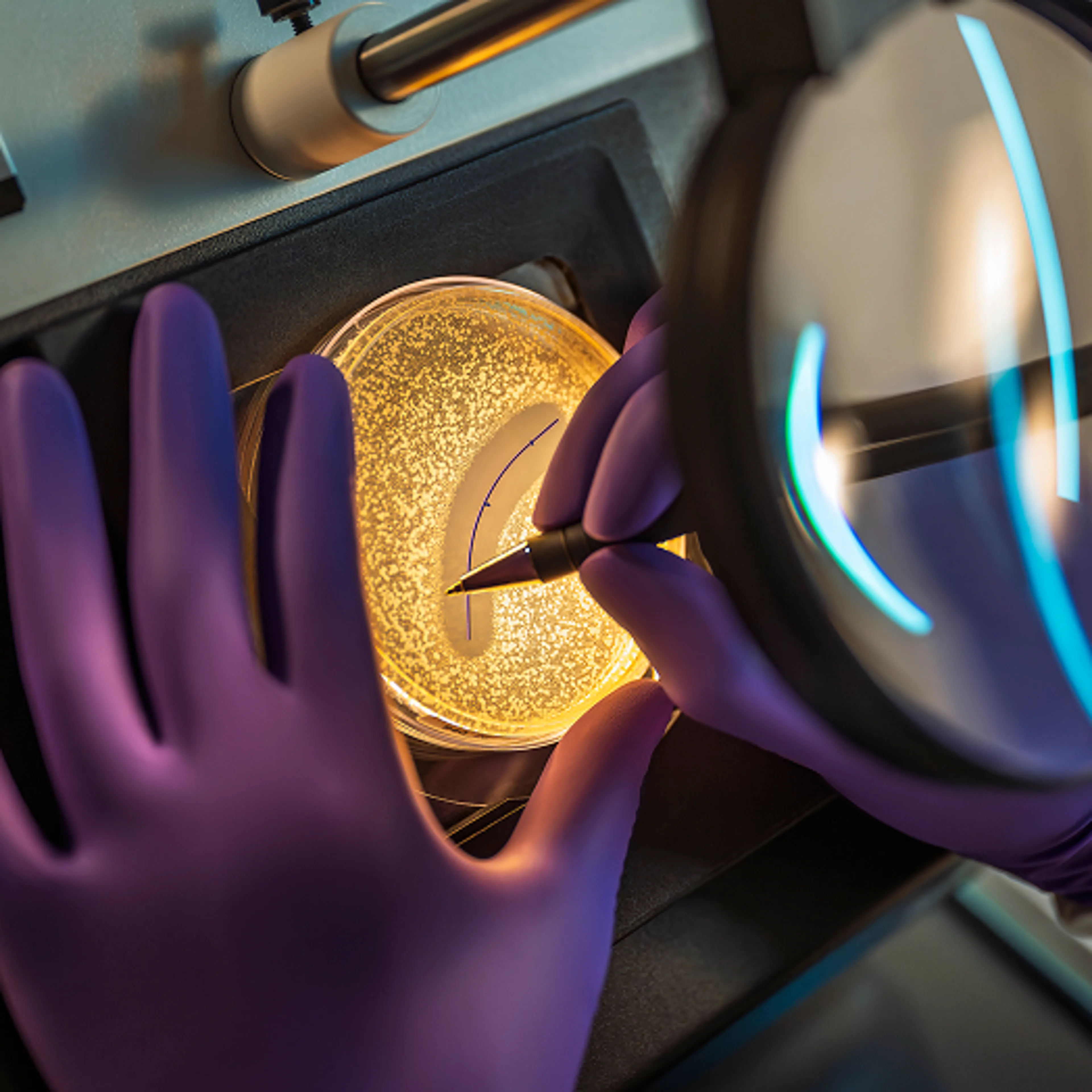 Surgeon working