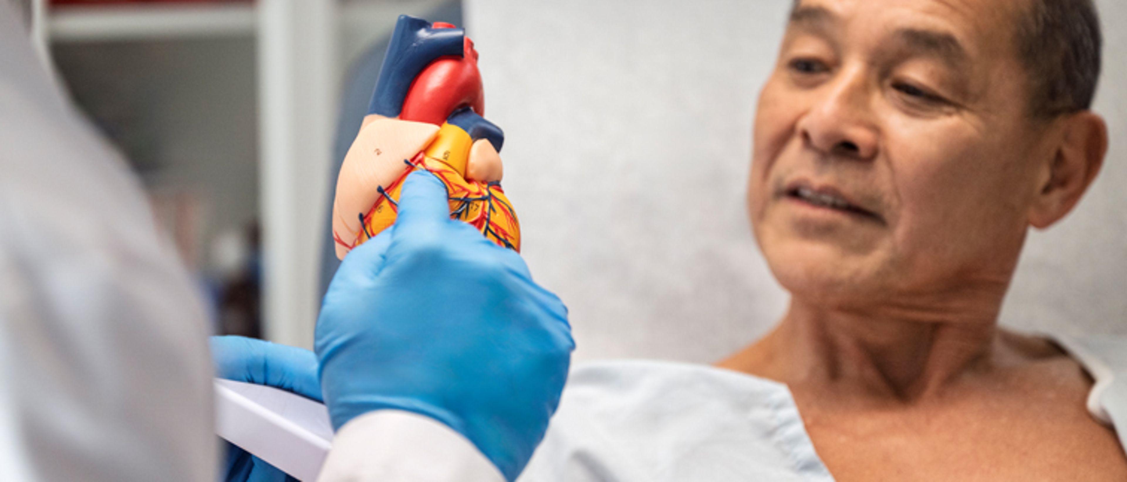 Patient being shown a heart model.