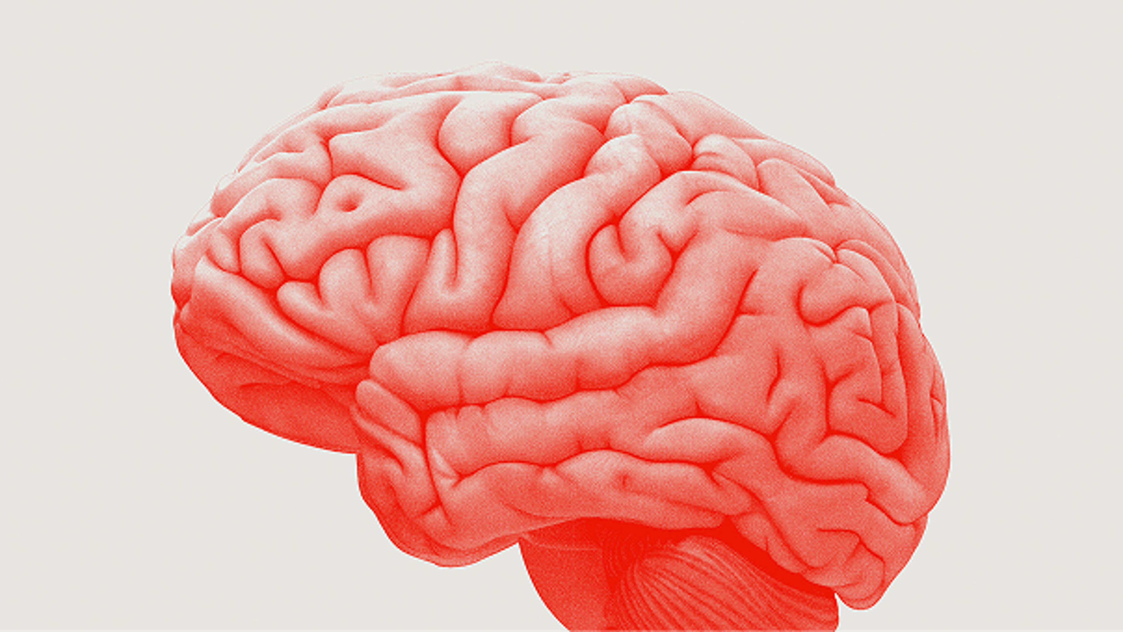 Neurovascular education grants