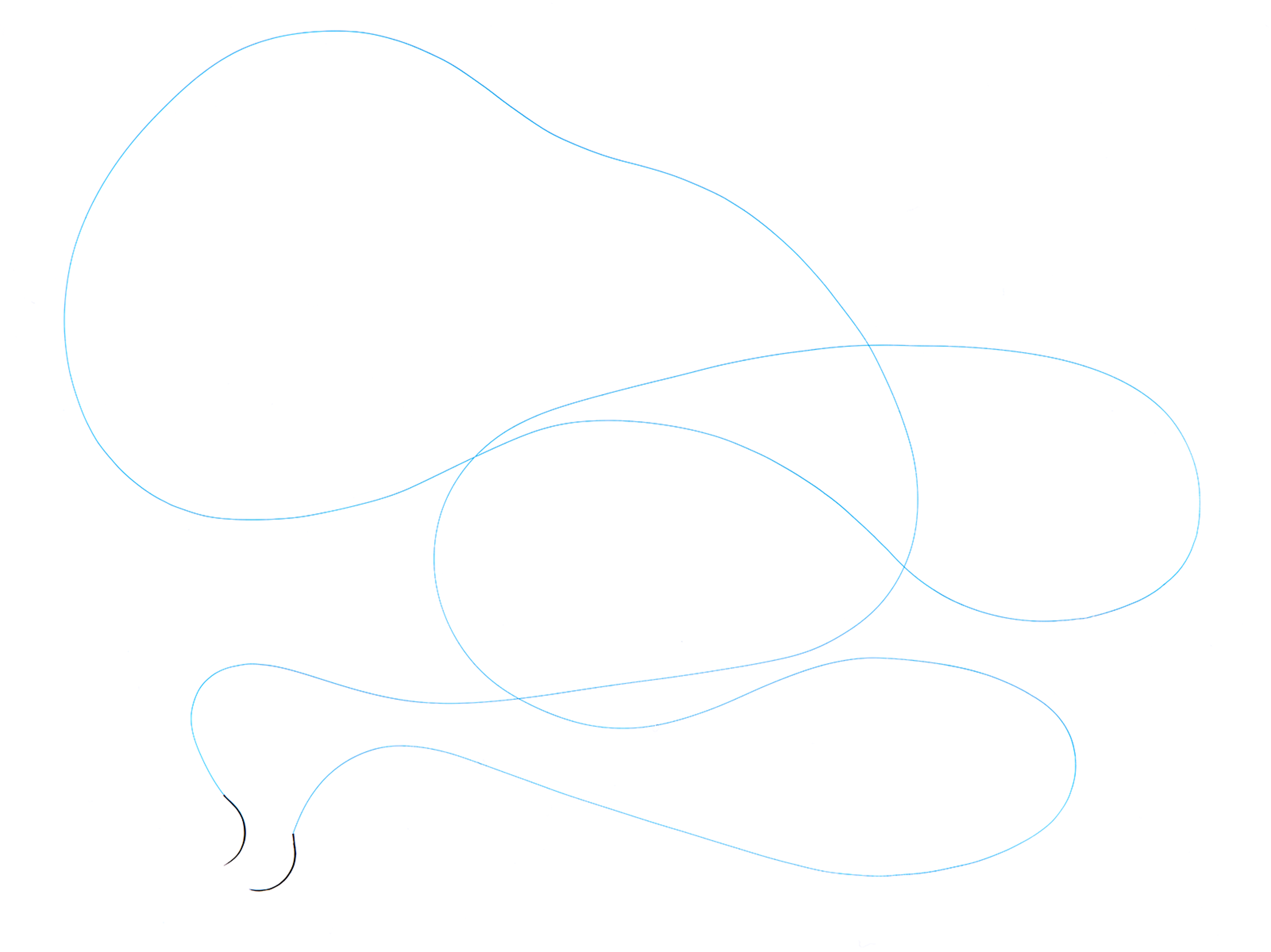PRONOVA™ Poly (hexafluoropropylene-VDF) Suture