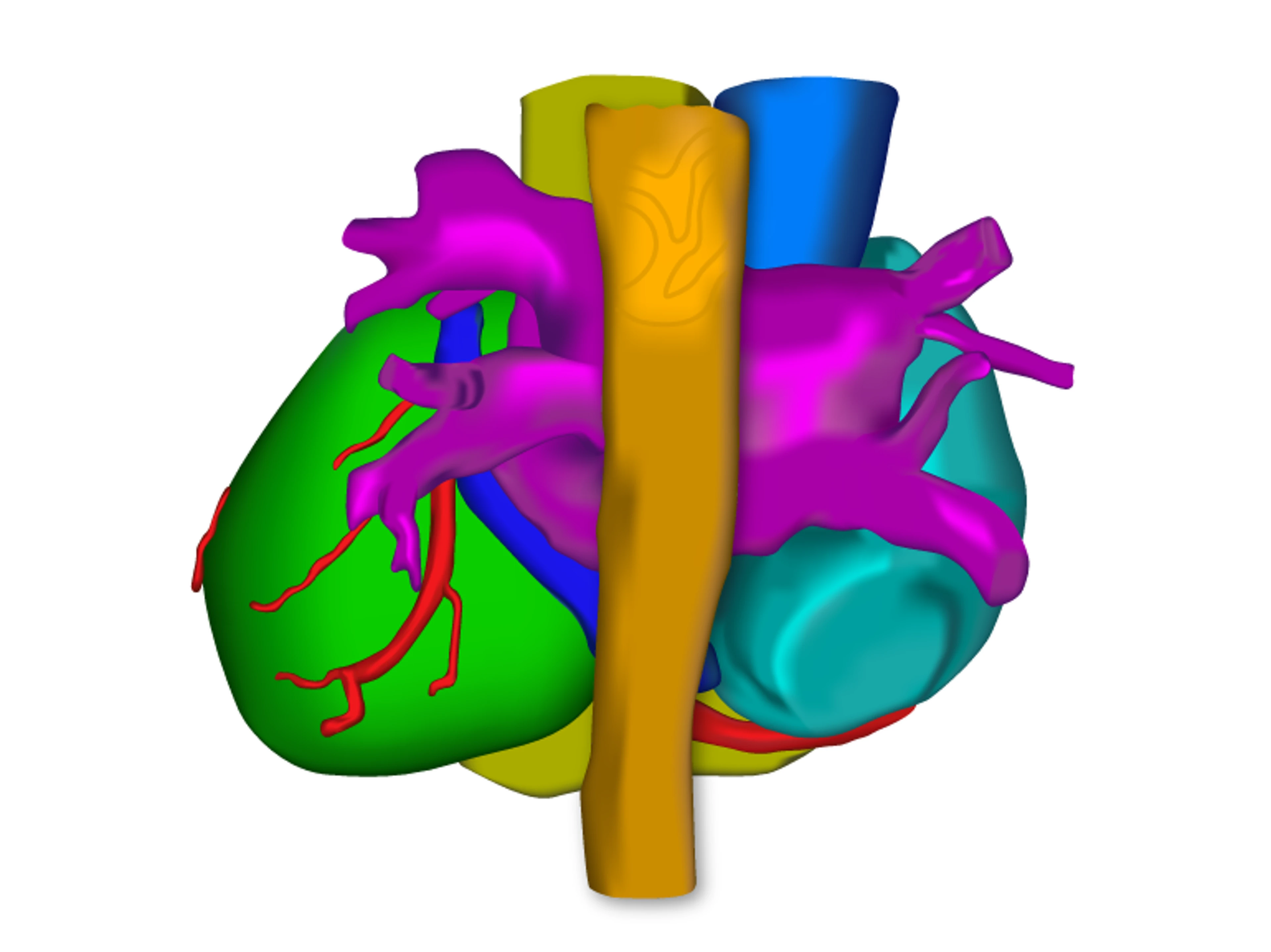 CARTOSEG™ CT Module
