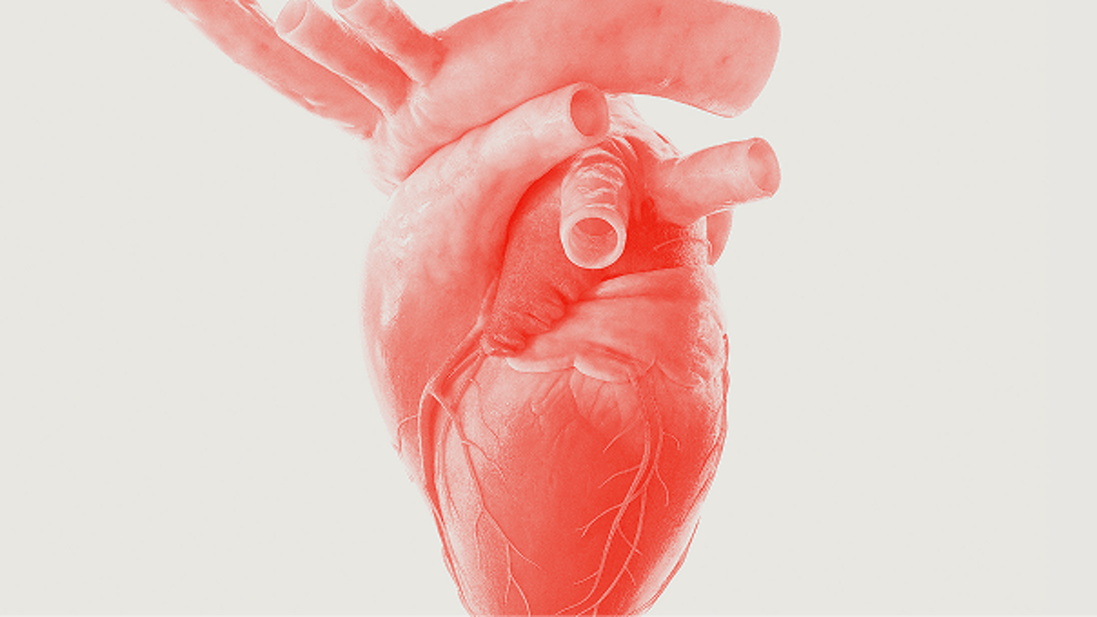 Heart recovery education grants