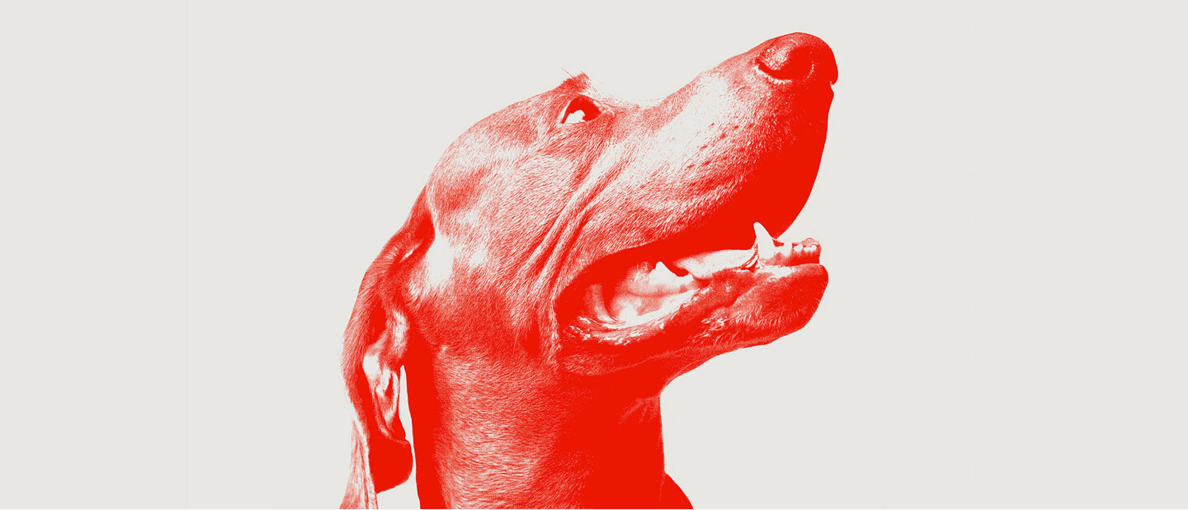 Veterinary