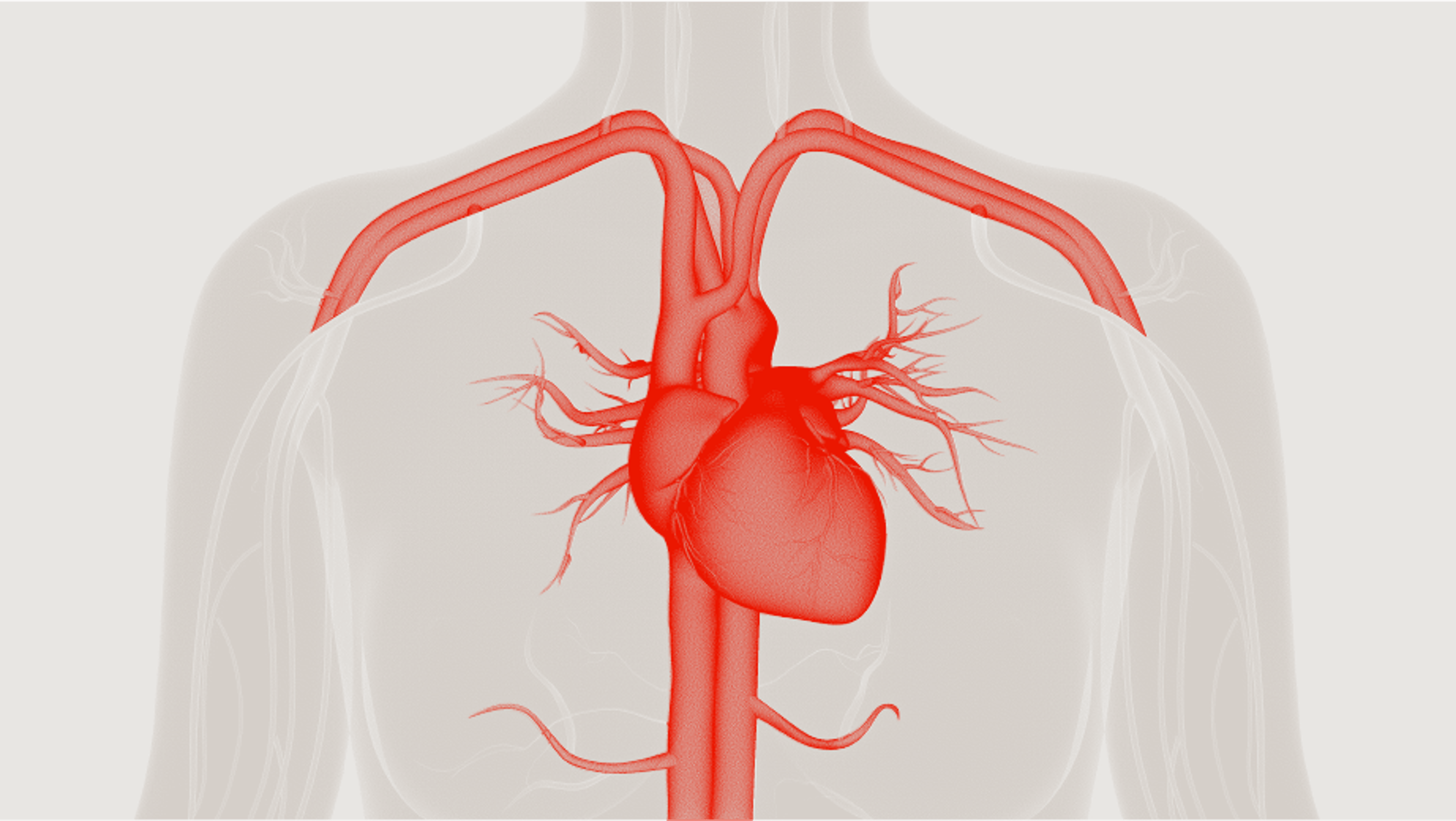 Electrophysiology illustration