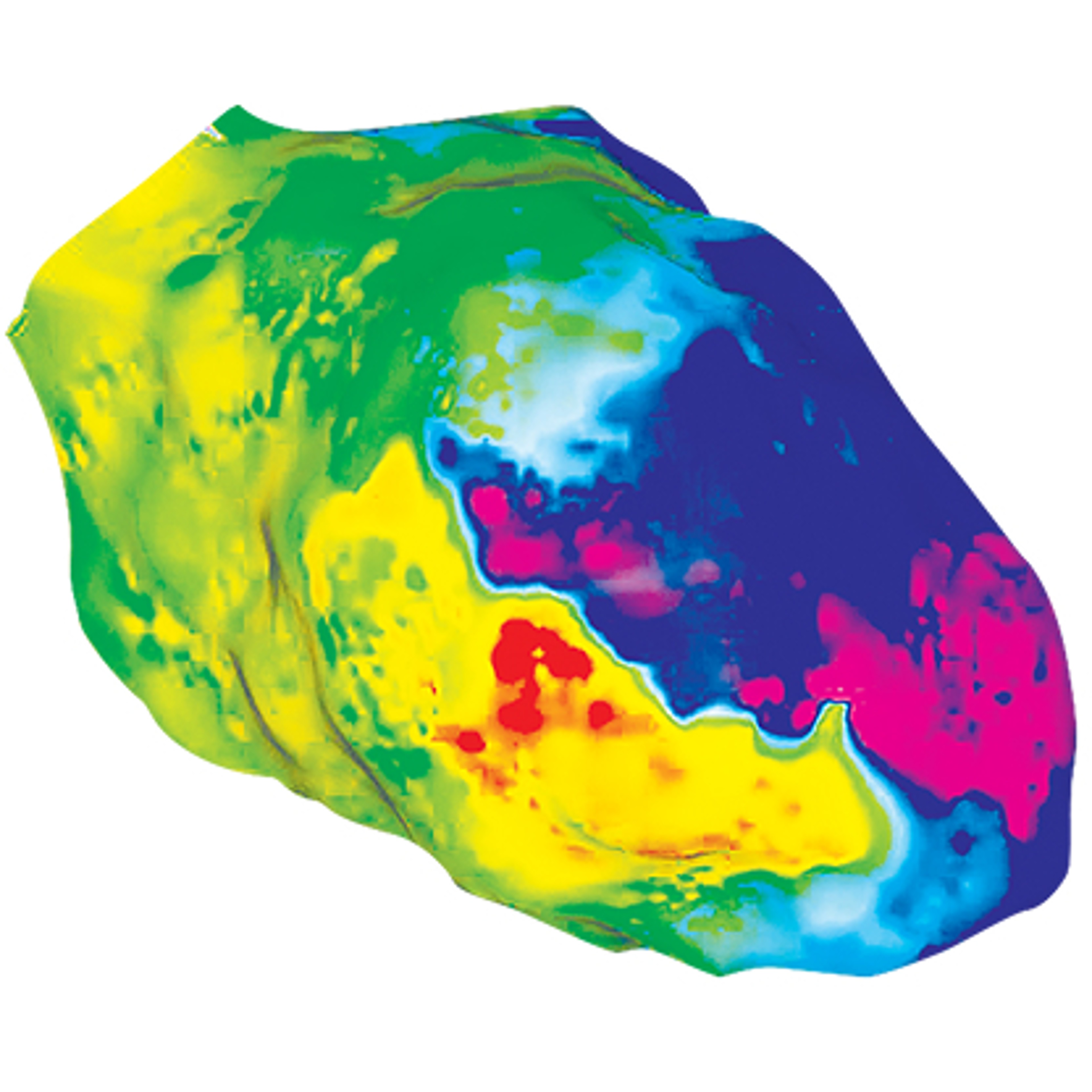CARTO™ LAM Module