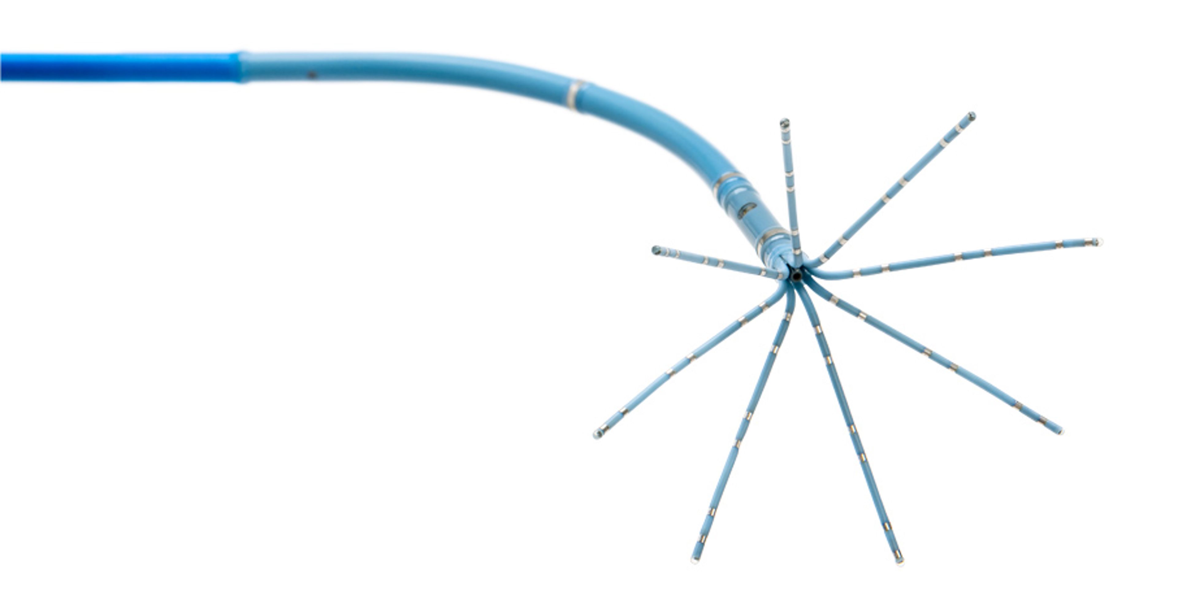 OCTARAY™ Mapping Catheter with TRUEref™ Technology