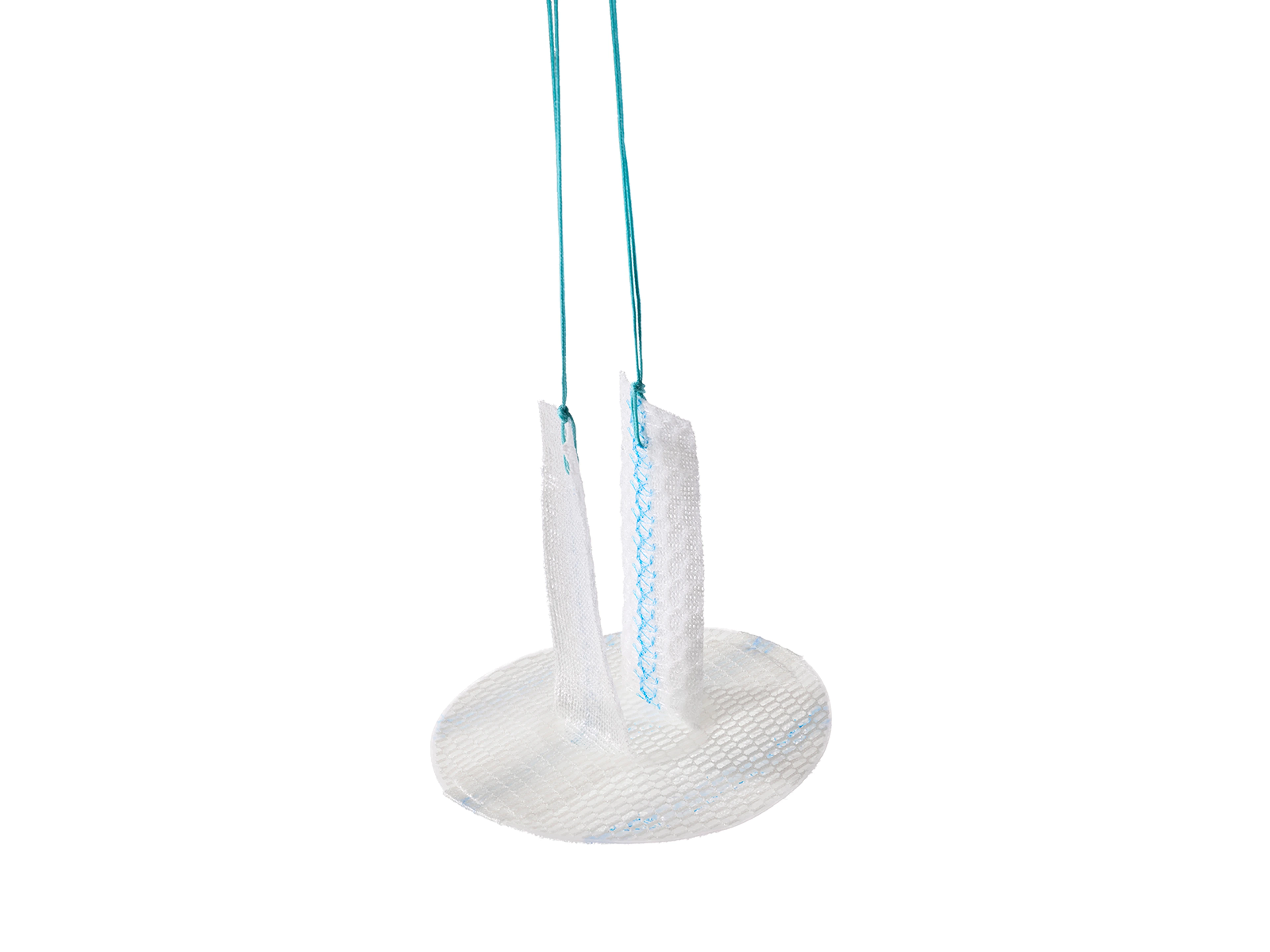 PROCEED™ Ventral Patch