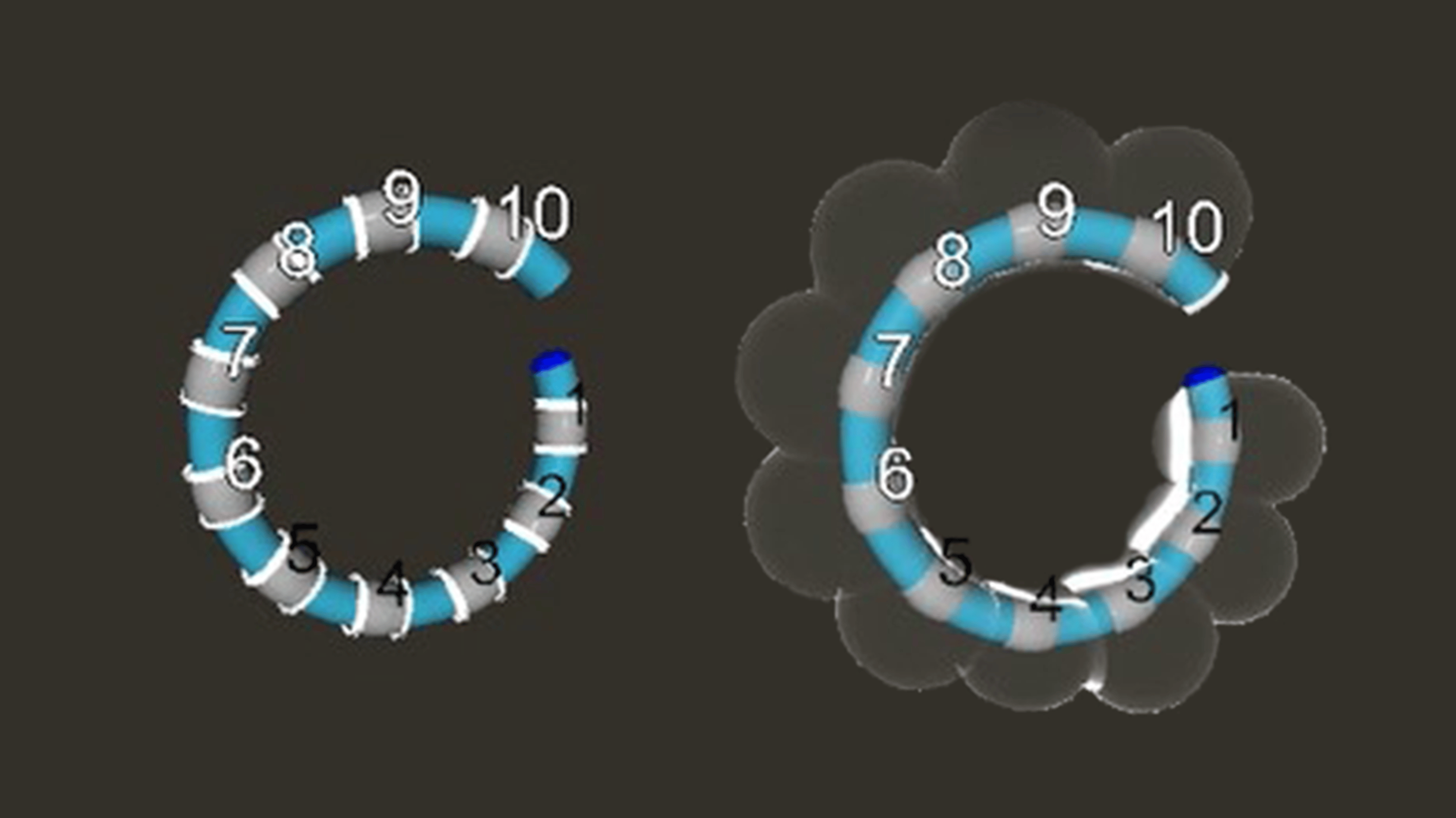 Side-by-side diagrams of a catheter loop with numbered electrodes. The left image shows the standard loop configuration, while the right image displays a halo-like shading around certain electrodes to illustrate the Tissue Proximity Indicator, which identifies catheter–tissue contact before, during, and after ablation.