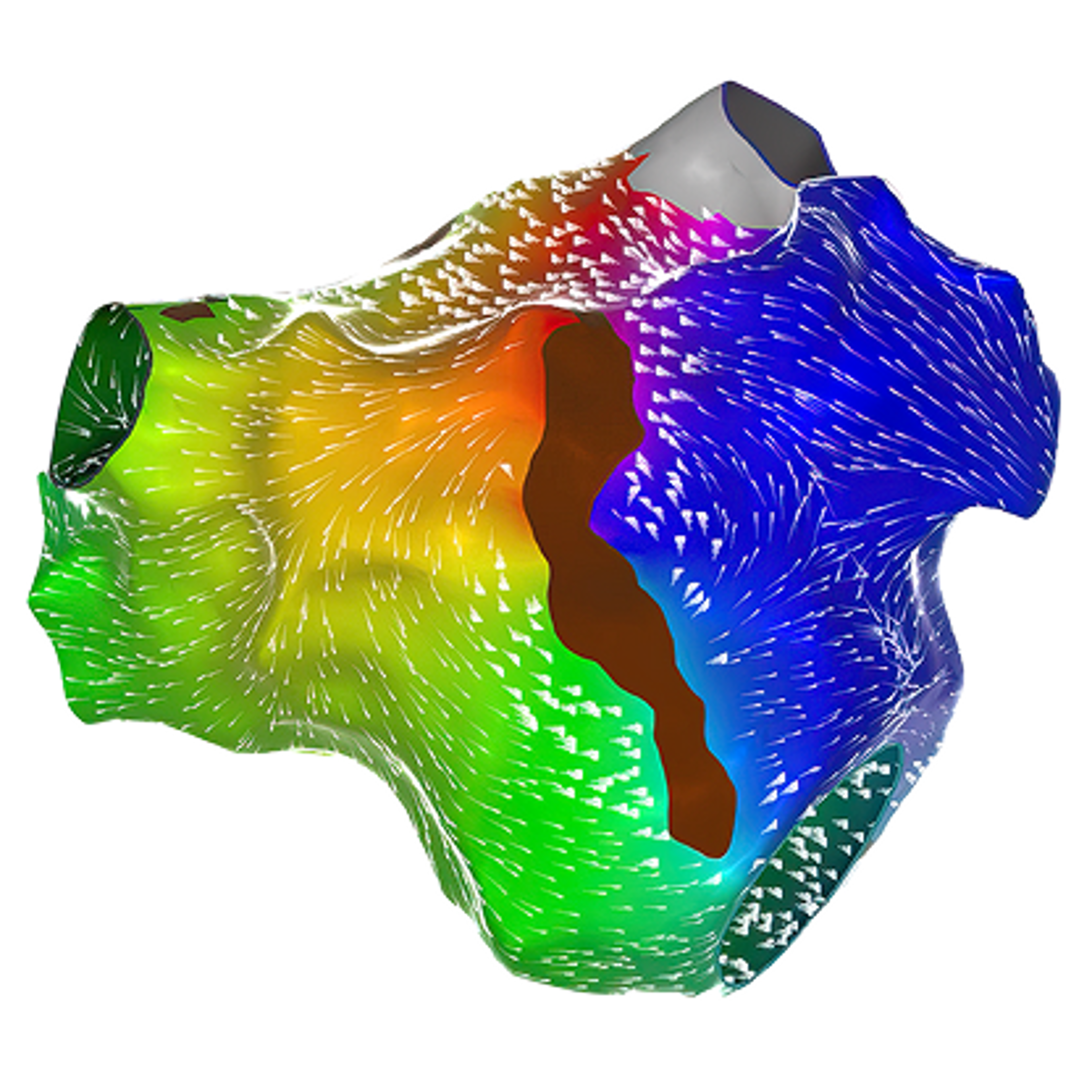 Coherent Mapping