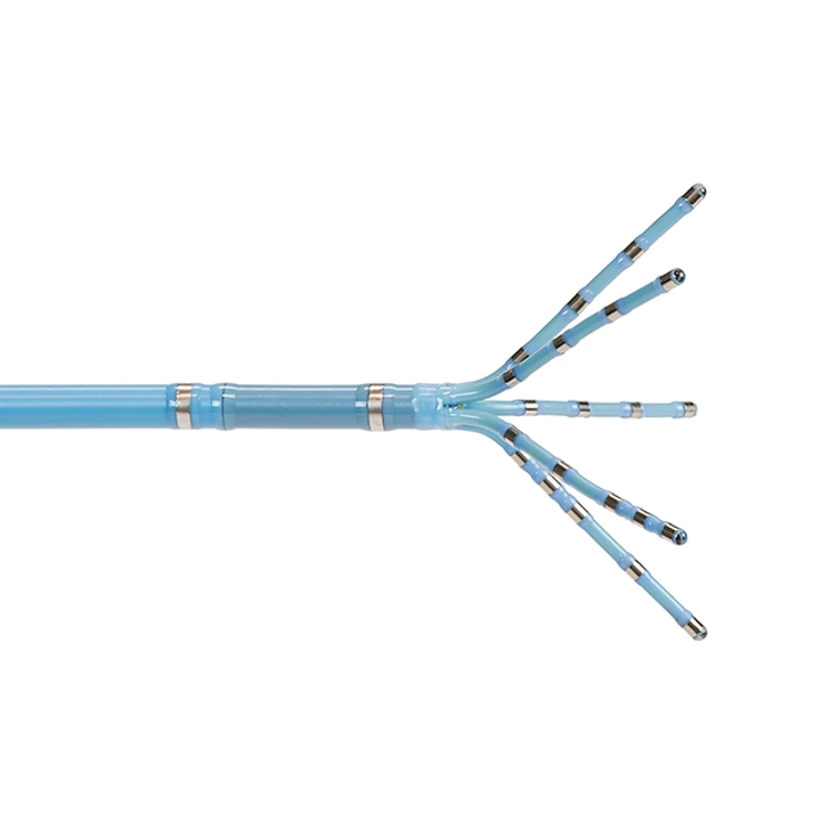 Pentary DECANAV™ Mapping Catheter | J&J MedTech US